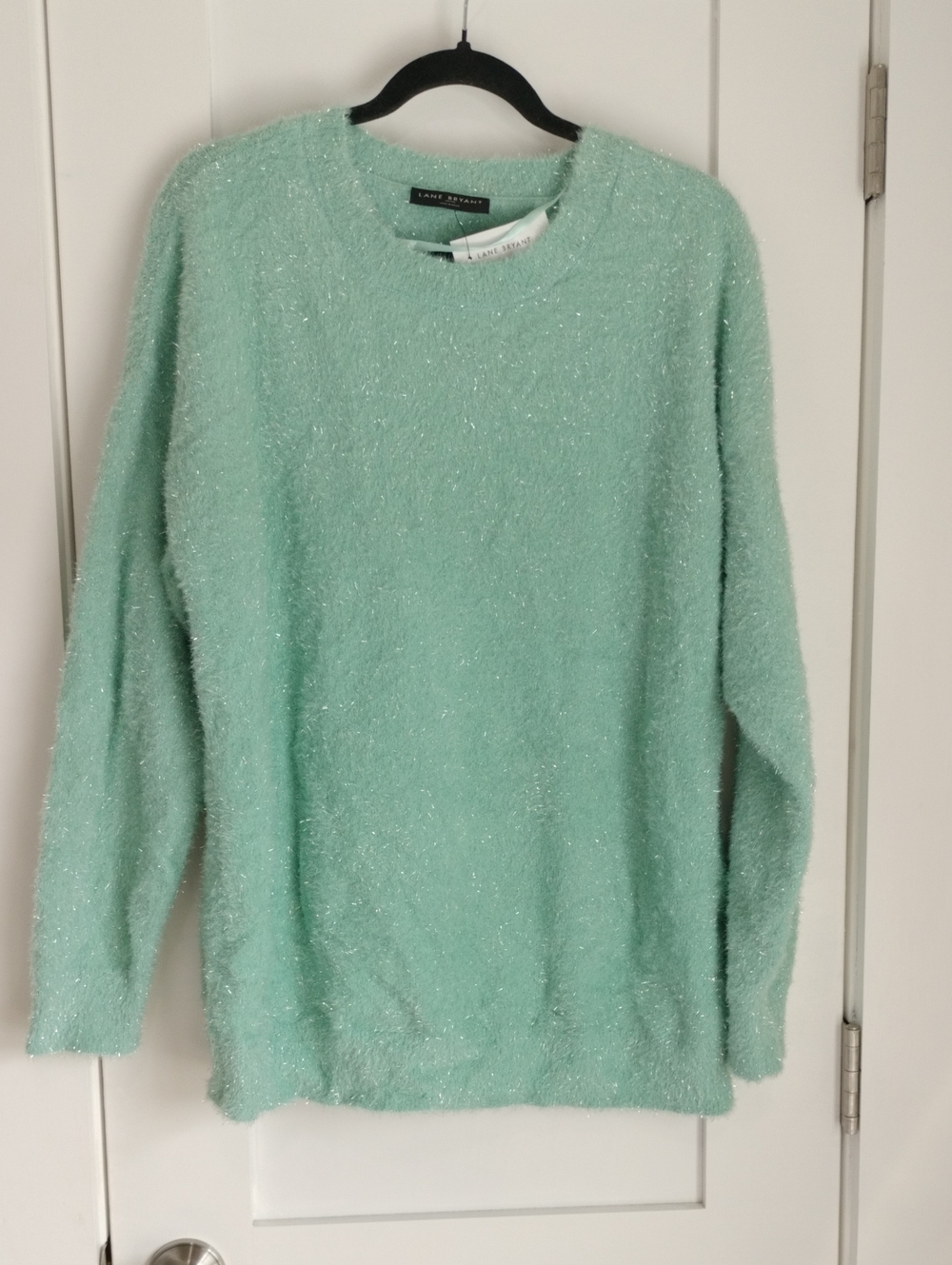 Lane Bryant Mint Green Sparkle Crewneck Sweater